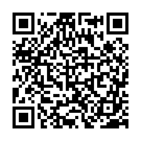 QR code for ZGN163