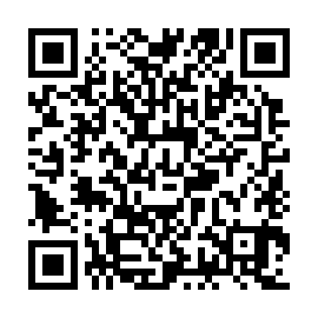 QR code for ZGN381