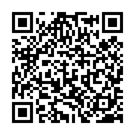 QR code for ZGN491