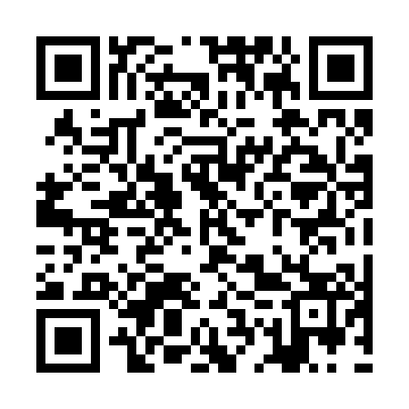 QR code for ZGP203