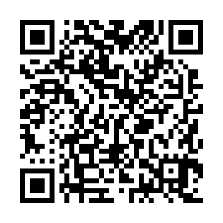 QR code for ZGP285
