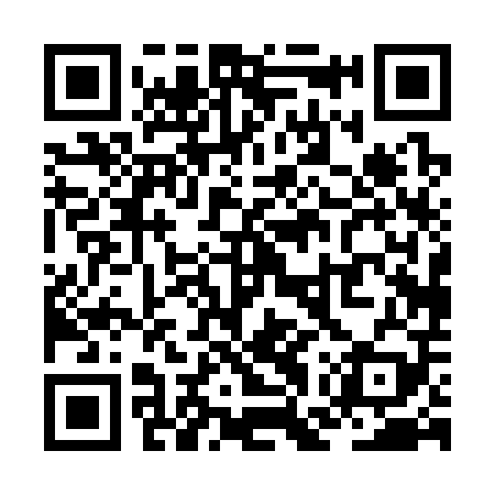 QR code for ZGP309
