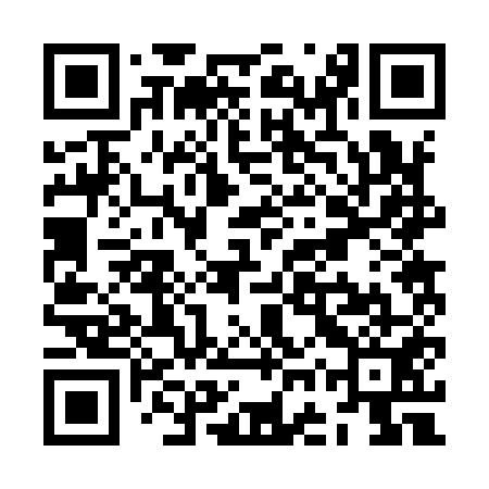 QR code for ZGR951