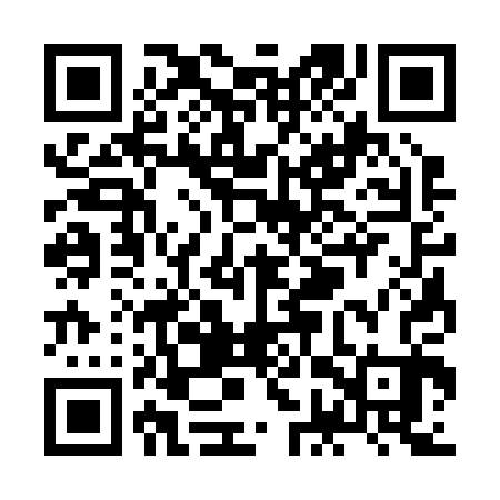 QR code for ZGS203