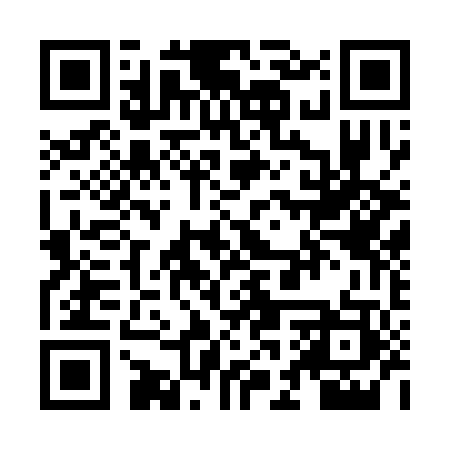 QR code for ZGS303