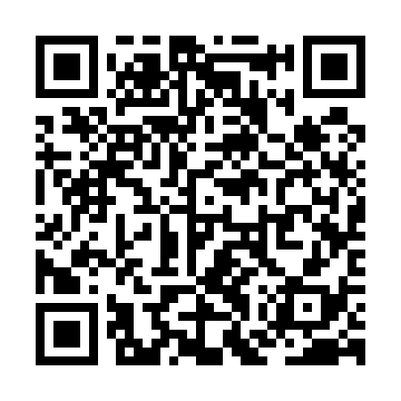 QR code for ZGS538