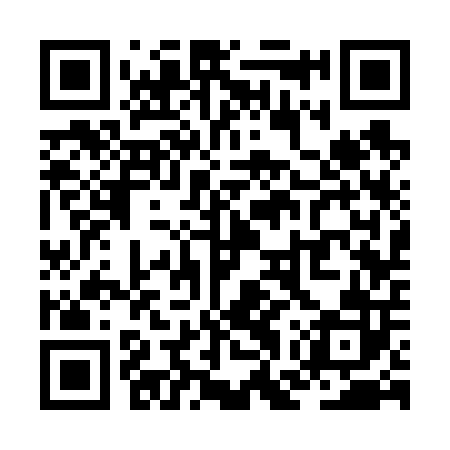 QR code for ZGS602