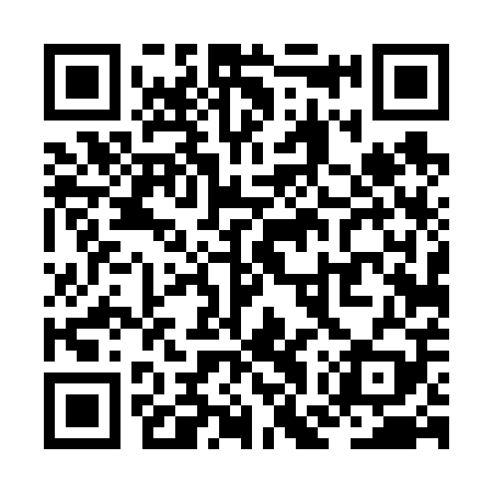QR code for ZGT609