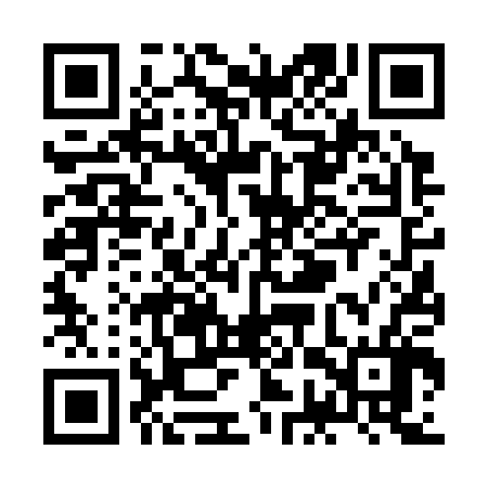 QR code for ZGV306