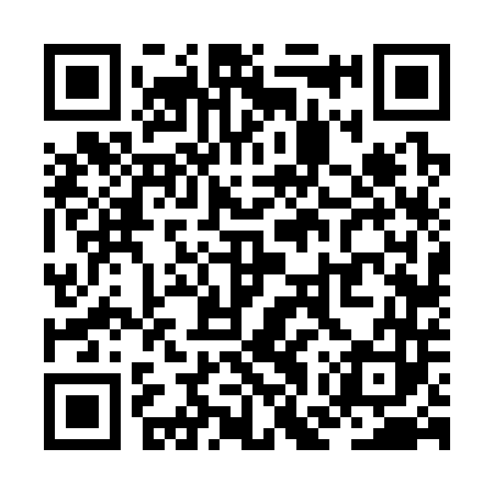 QR code for ZGV343