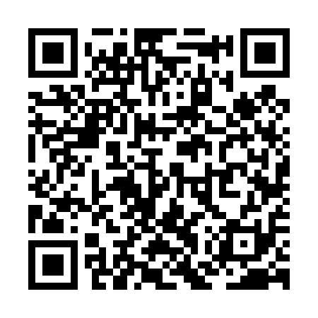 QR code for ZGV411
