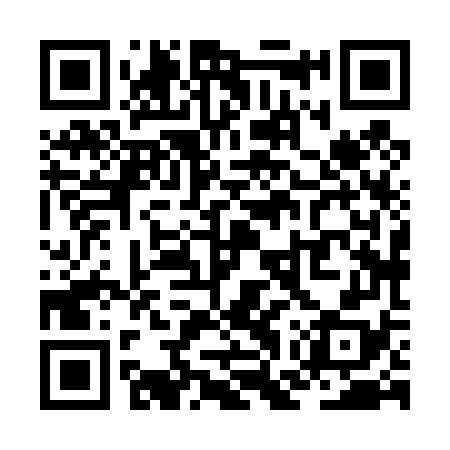QR code for ZGX478