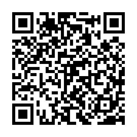 QR code for ZGX510