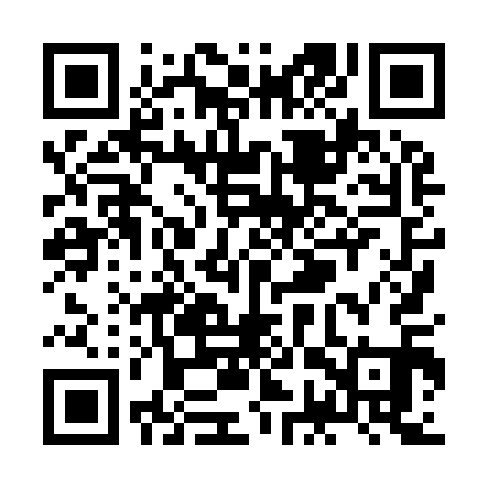 QR code for ZGX911