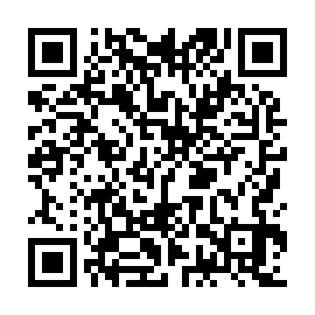 QR code for ZGX933