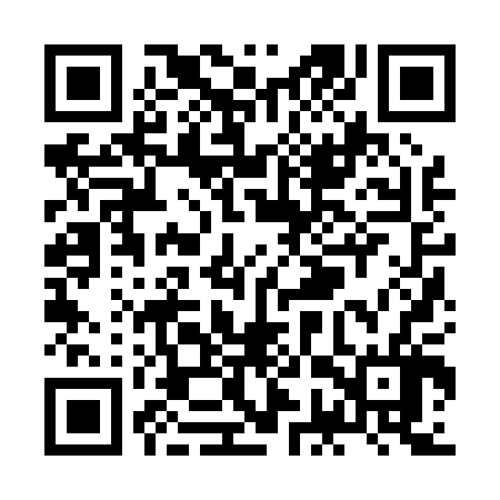 QR code for ZGZ006