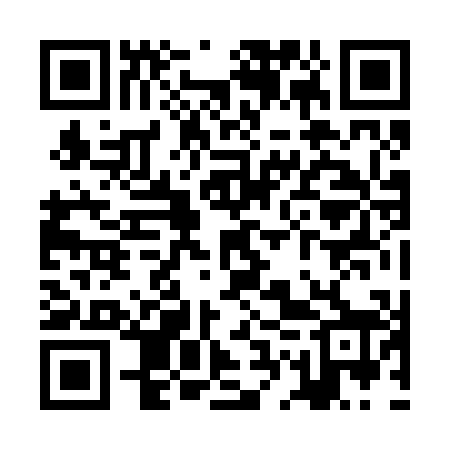 QR code for ZGZ208