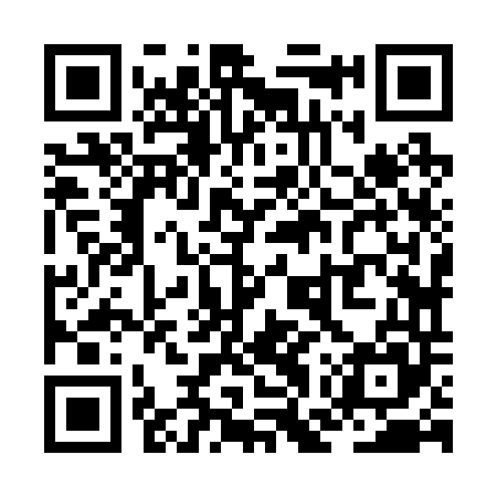 QR code for ZGZ245
