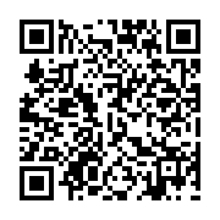 QR code for ZGZ323