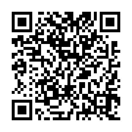 QR code for ZGZ617
