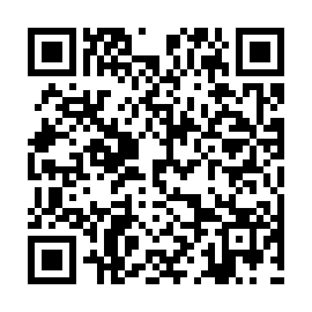 QR code for ZHA303