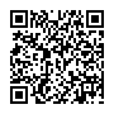 QR code for ZHA493