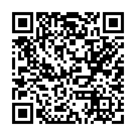 QR code for ZHG392