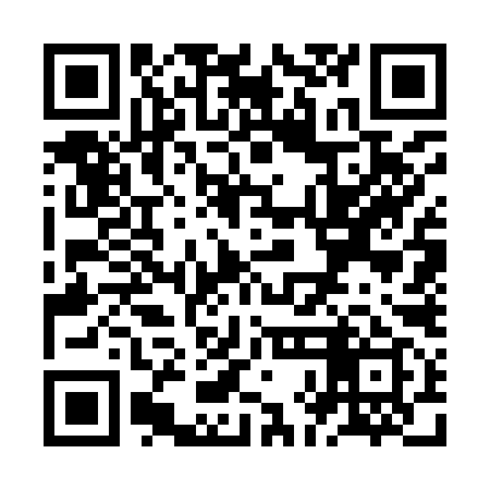 QR code for ZHG999