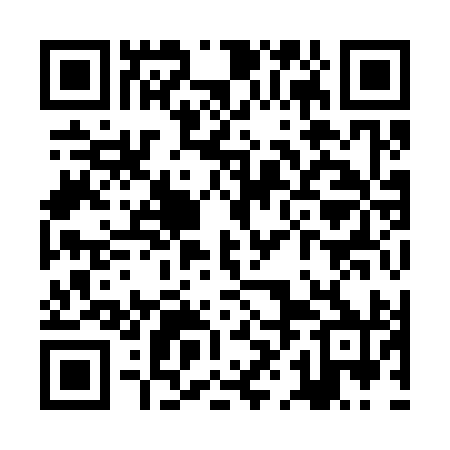 QR code for ZHI390