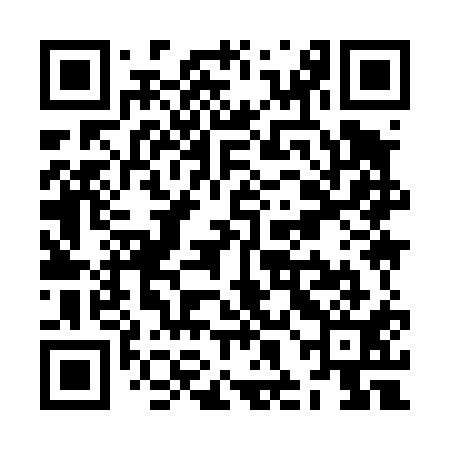 QR code for ZHI411