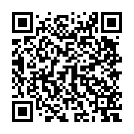 QR code for ZHI453