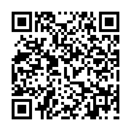 QR code for ZHJ239