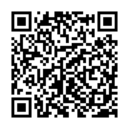 QR code for ZHJ291