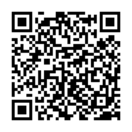 QR code for ZHJ413
