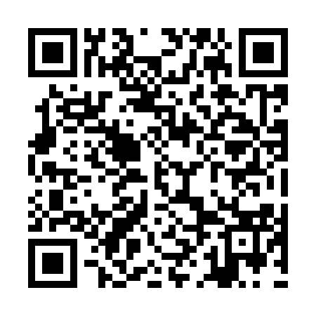 QR code for ZHJ913