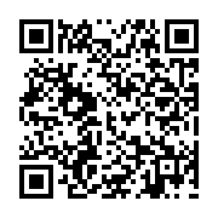 QR code for ZHJ981