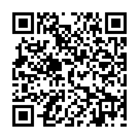 QR code for ZHK369