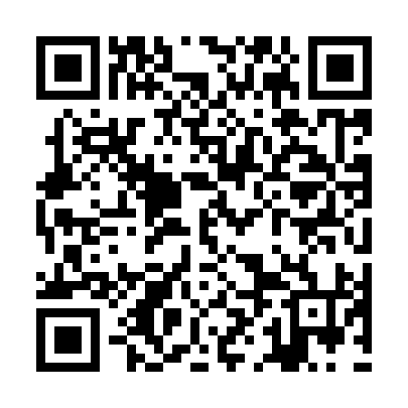 QR code for ZHK994