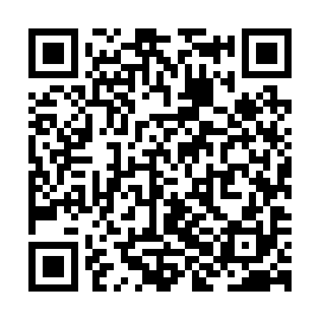 QR code for ZHM290