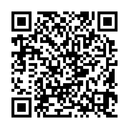 QR code for ZHM381