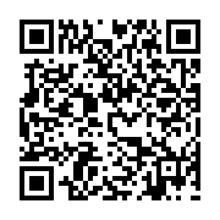 QR code for ZHN370