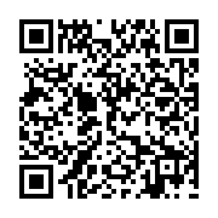 QR code for ZHO389