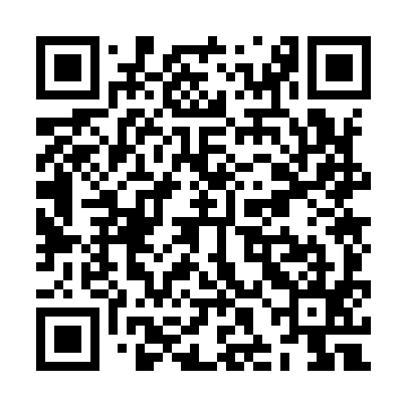 QR code for ZHO995