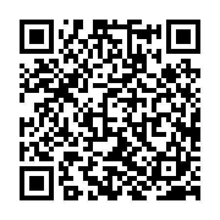 QR code for ZHP223