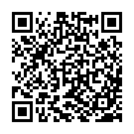 QR code for ZHP387