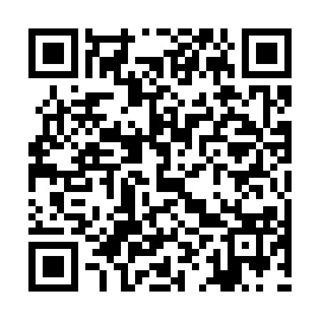 QR code for ZHQ313