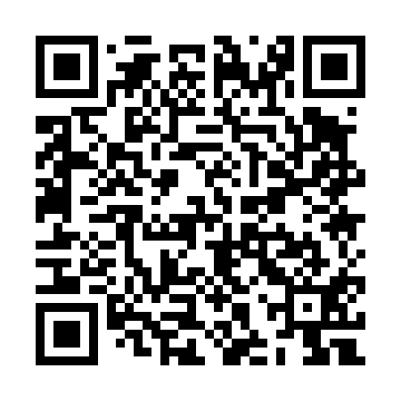QR code for ZHQ411