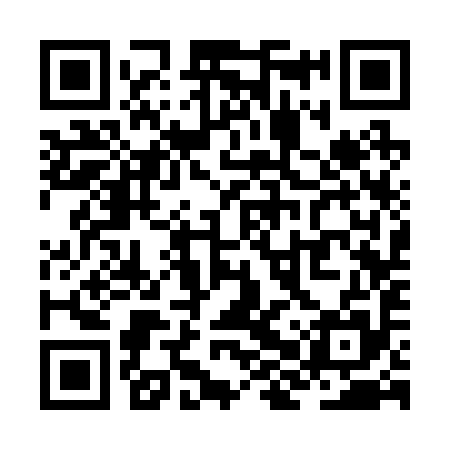 QR code for ZHS295