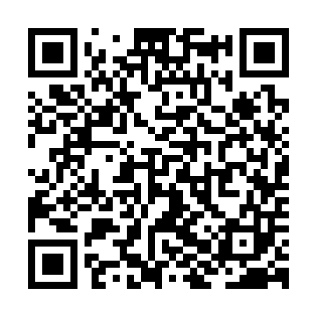 QR code for ZHS303