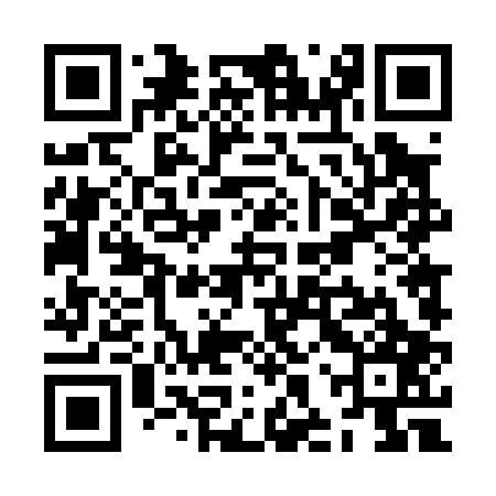 QR code for ZHT007